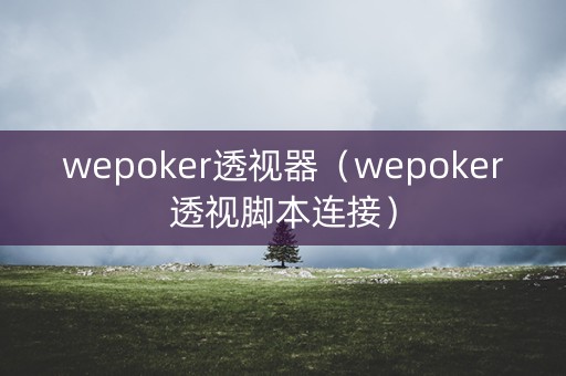 wepoker透视器（wepoker透视脚本连接）