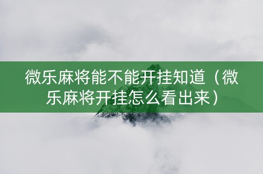 微乐麻将能不能开挂知道（微乐麻将开挂怎么看出来）