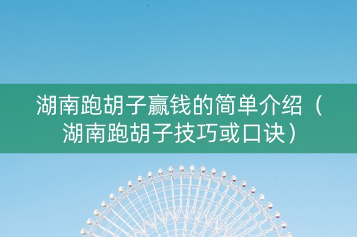 湖南跑胡子赢钱的简单介绍（湖南跑胡子技巧或口诀）