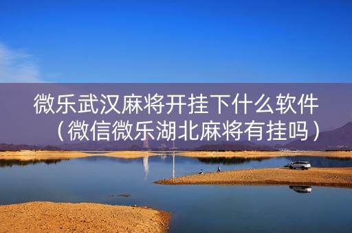 微乐武汉麻将开挂下什么软件（微信微乐湖北麻将有挂吗）