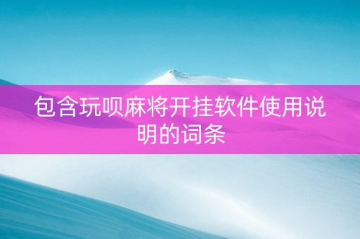 包含玩呗麻将开挂软件使用说明的词条