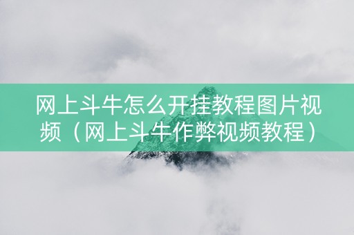 网上斗牛怎么开挂教程图片视频（网上斗牛作弊视频教程）