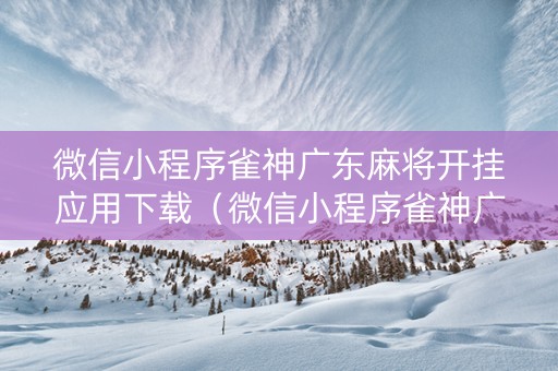 微信小程序雀神广东麻将开挂应用下载（微信小程序雀神广东麻将技巧）