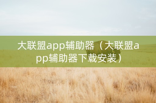 大联盟app辅助器（大联盟app辅助器下载安装）