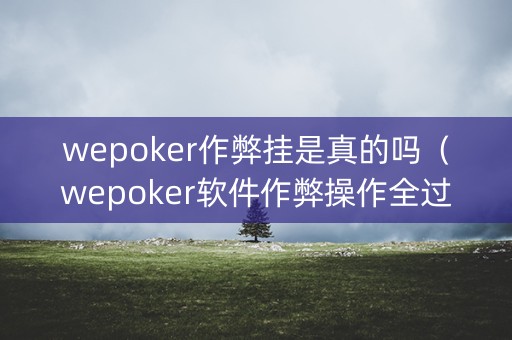 wepoker作弊挂是真的吗（wepoker软件作弊操作全过程辅助原来这么简单）