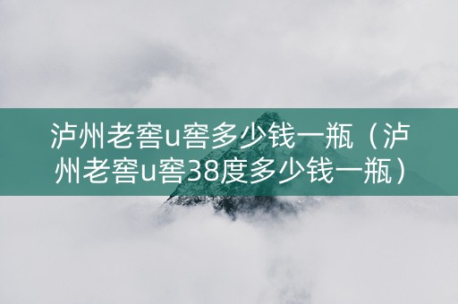 泸州老窖u窖多少钱一瓶（泸州老窖u窖38度多少钱一瓶）