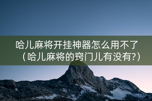 哈儿麻将开挂神器怎么用不了（哈儿麻将的窍门儿有没有?）