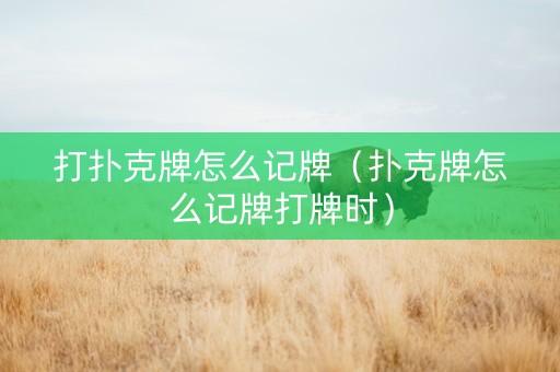 打扑克牌怎么记牌（扑克牌怎么记牌打牌时）