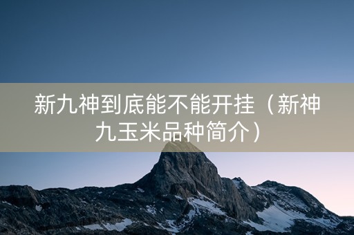 新九神到底能不能开挂（新神九玉米品种简介）