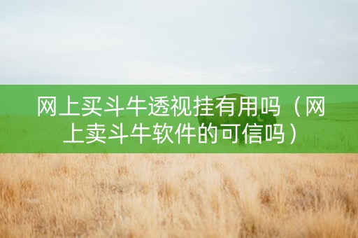 网上买斗牛透视挂有用吗（网上卖斗牛软件的可信吗）