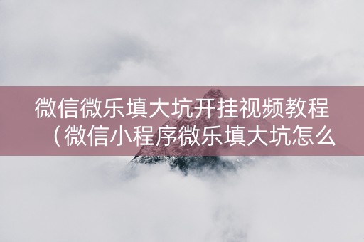 微信微乐填大坑开挂视频教程（微信小程序微乐填大坑怎么能赢）