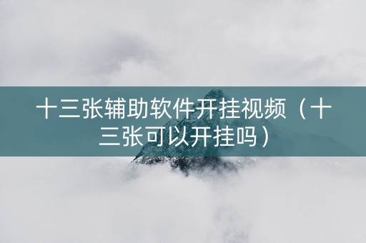 十三张辅助软件开挂视频（十三张可以开挂吗）