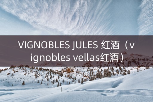 VIGNOBLES JULES 红酒（vignobles vellas红酒）