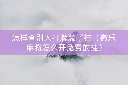 怎样查别人打牌装了挂（微乐麻将怎么开免费的挂）