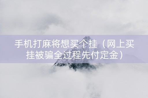 手机打麻将想买个挂（网上买挂被骗全过程先付定金）