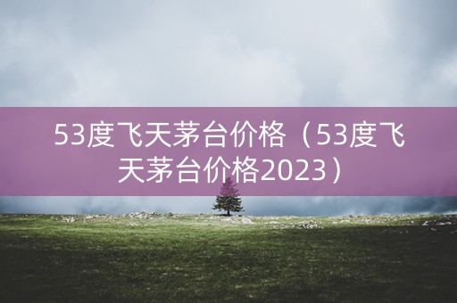 53度飞天茅台价格（53度飞天茅台价格2023）