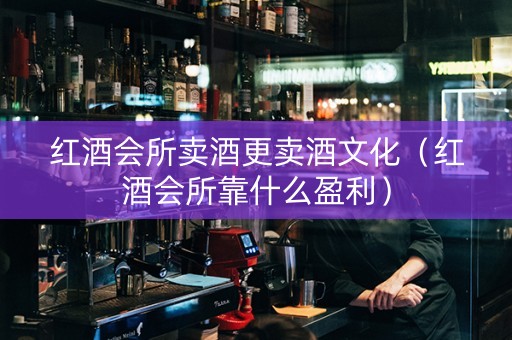 红酒会所卖酒更卖酒文化（红酒会所靠什么盈利）