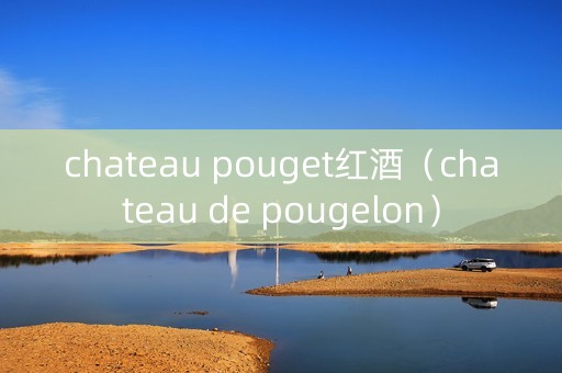 chateau pouget红酒（chateau de pougelon）