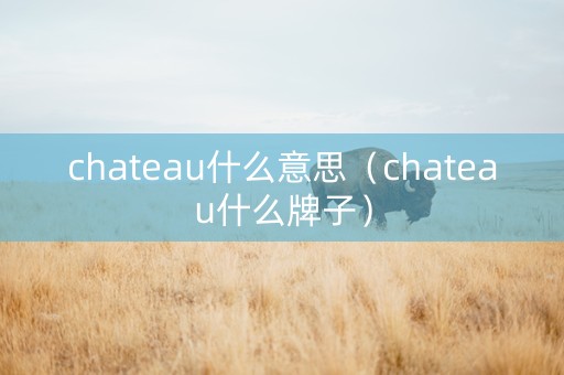 chateau什么意思（chateau什么牌子）