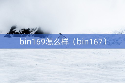 bin169怎么样（bin167）