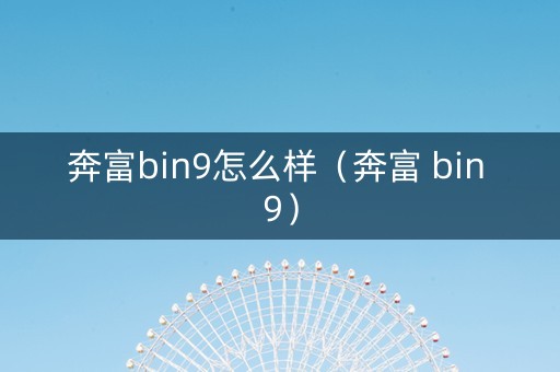 奔富bin9怎么样（奔富 bin 9）