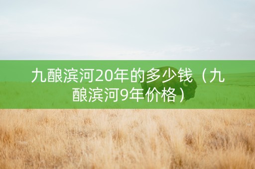 九酿滨河20年的多少钱（九酿滨河9年价格）