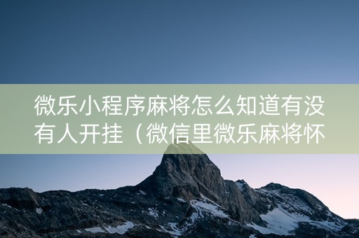 微乐小程序麻将怎么知道有没有人开挂（微信里微乐麻将怀疑开挂怎么查）