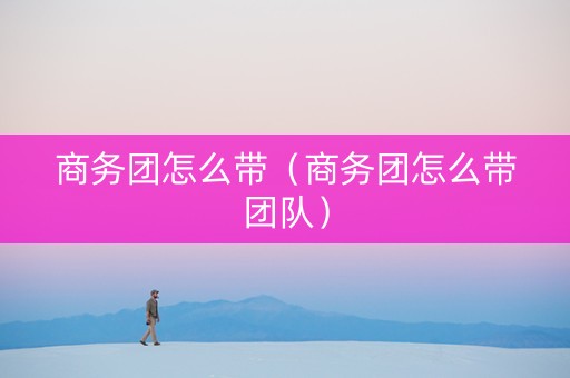 商务团怎么带（商务团怎么带团队）