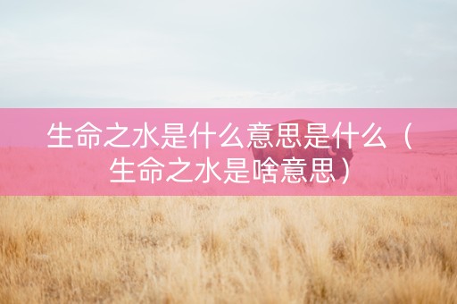 生命之水是什么意思是什么（生命之水是啥意思）