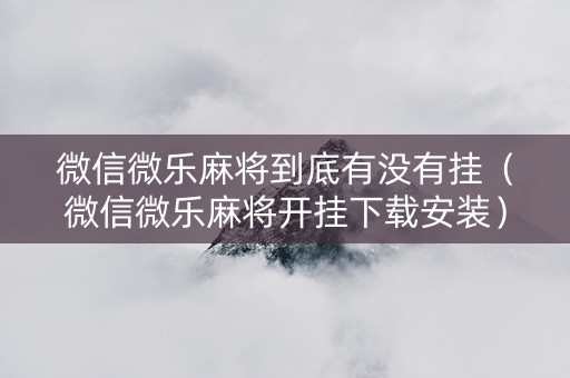 微信微乐麻将到底有没有挂（微信微乐麻将开挂下载安装）