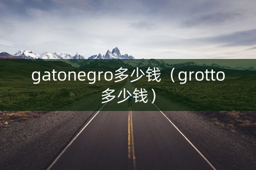 gatonegro多少钱（grotto多少钱）