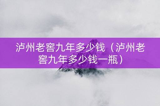 泸州老窖九年多少钱（泸州老窖九年多少钱一瓶）