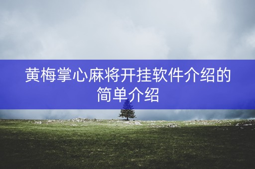 黄梅掌心麻将开挂软件介绍的简单介绍