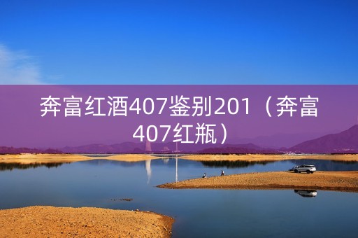 奔富红酒407鉴别201（奔富407红瓶）