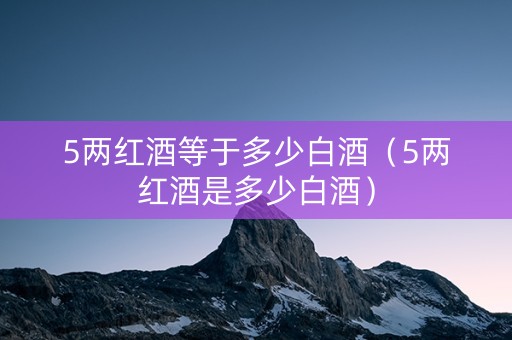 5两红酒等于多少白酒（5两红酒是多少白酒）