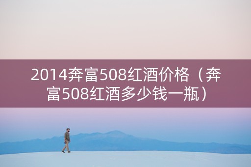 2014奔富508红酒价格（奔富508红酒多少钱一瓶）