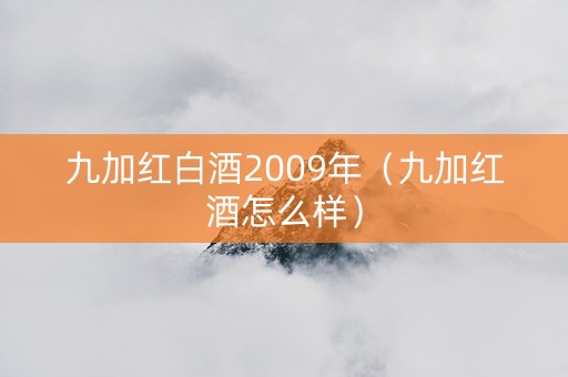 九加红白酒2009年（九加红酒怎么样）