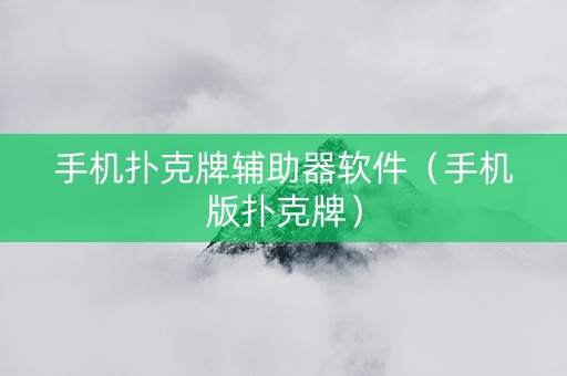 手机扑克牌辅助器软件（手机版扑克牌）