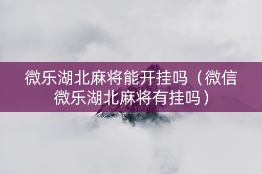 微乐湖北麻将能开挂吗（微信微乐湖北麻将有挂吗）