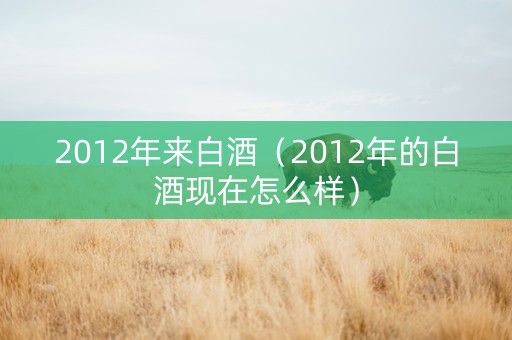 2012年来白酒（2012年的白酒现在怎么样）