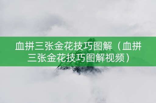 血拼三张金花技巧图解（血拼三张金花技巧图解视频）