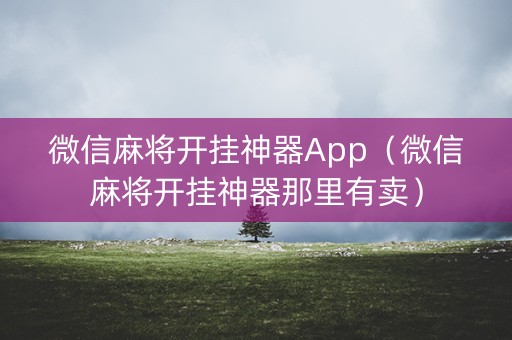 微信麻将开挂神器App（微信麻将开挂神器那里有卖）