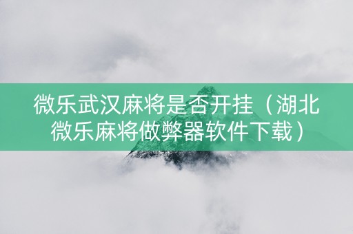 微乐武汉麻将是否开挂（湖北微乐麻将做弊器软件下载）