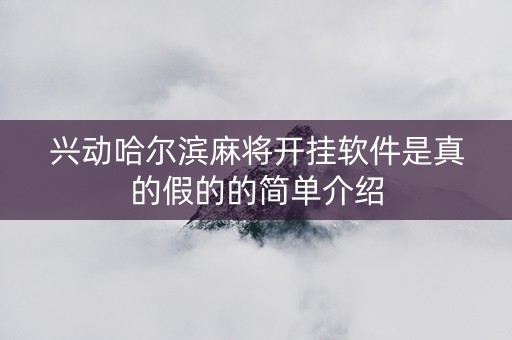 兴动哈尔滨麻将开挂软件是真的假的的简单介绍