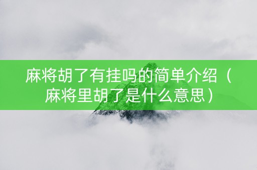 麻将胡了有挂吗的简单介绍（麻将里胡了是什么意思）