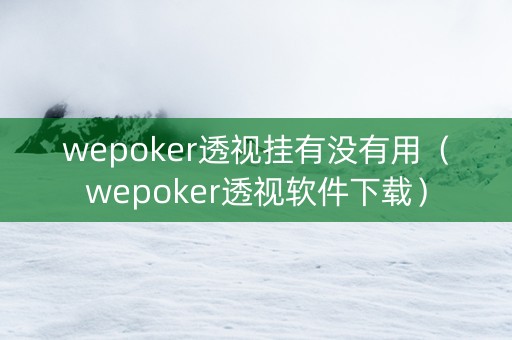 wepoker透视挂有没有用（wepoker透视软件下载）