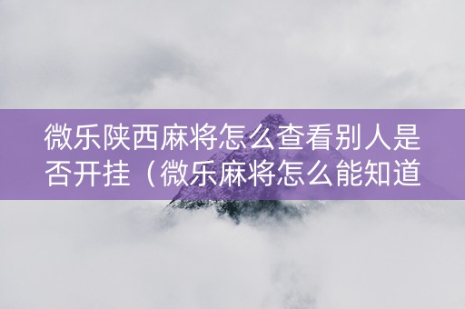 微乐陕西麻将怎么查看别人是否开挂（微乐麻将怎么能知道对方有挂）