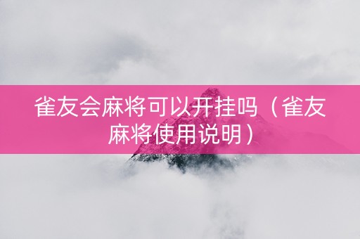 雀友会麻将可以开挂吗（雀友麻将使用说明）