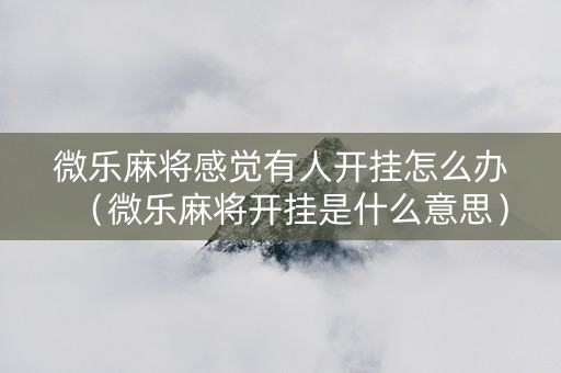 微乐麻将感觉有人开挂怎么办（微乐麻将开挂是什么意思）