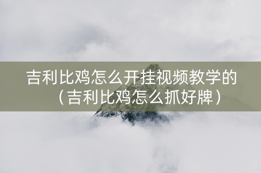 吉利比鸡怎么开挂视频教学的（吉利比鸡怎么抓好牌）